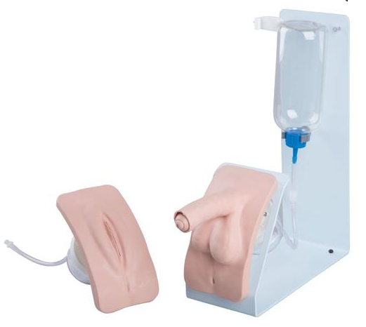 Catheterization Simulator Basic Dual Sex - 3B